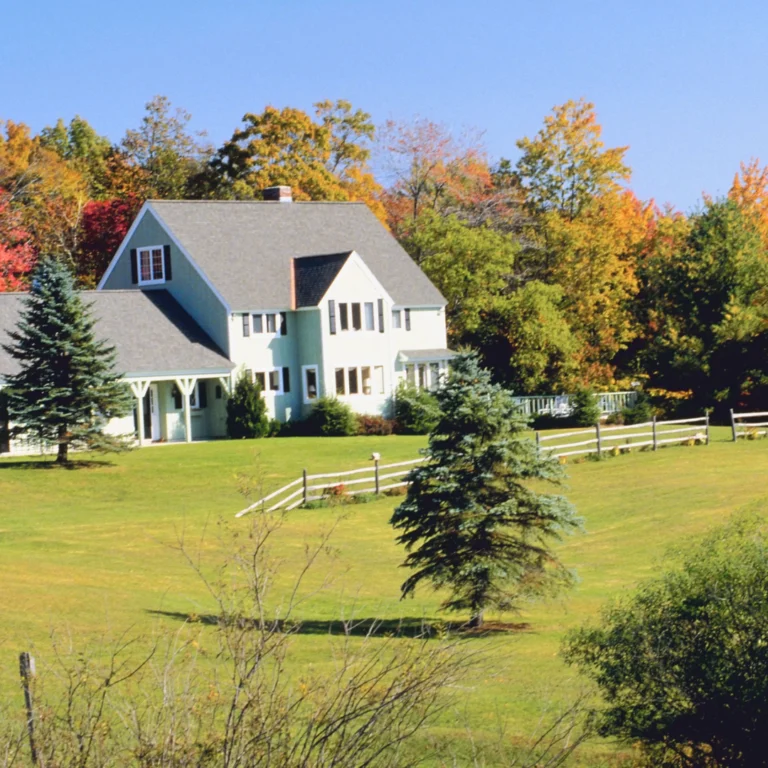 Diseño-sin-título