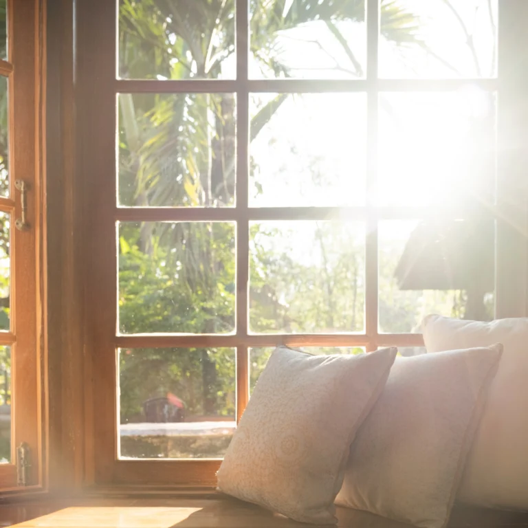 Diseño-sin-título-2025-05-09T160643