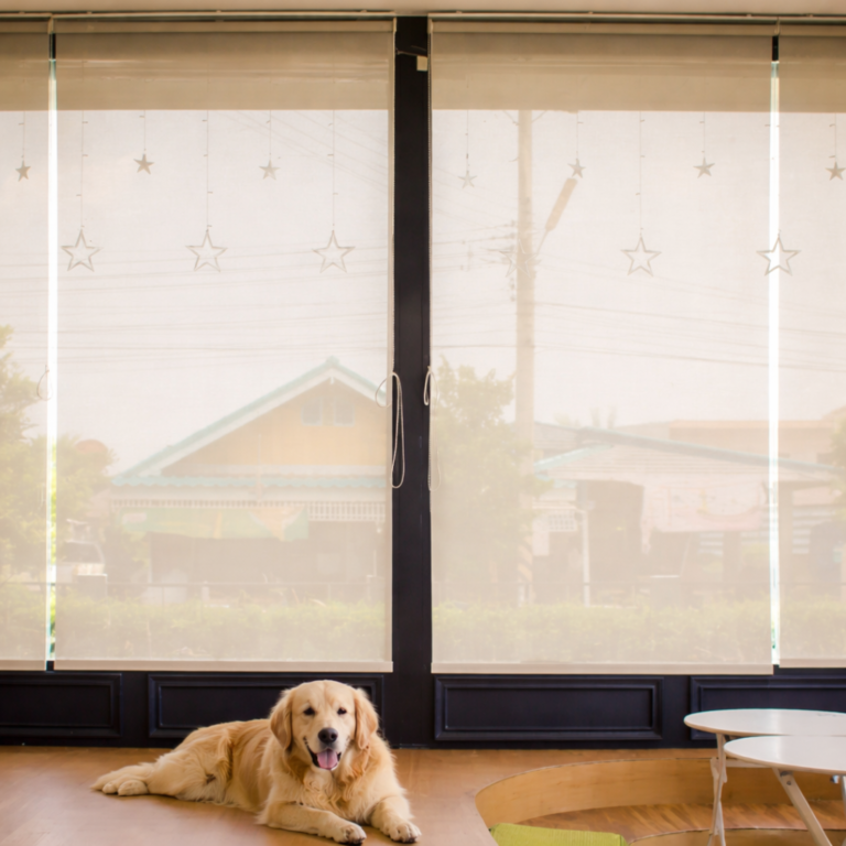 Diseño sin título - 2026-01-02T150344