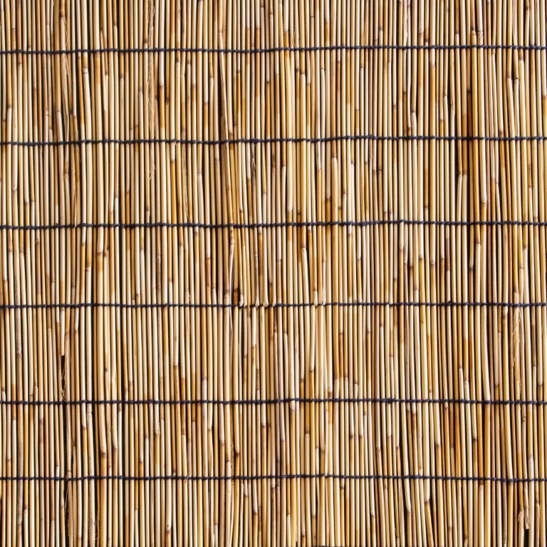 Diseño-sin-título-_1_